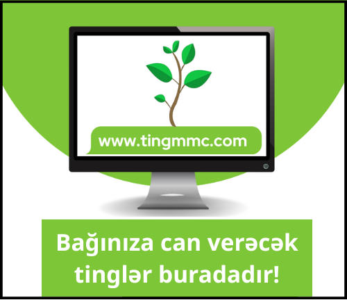 Reklam Sol